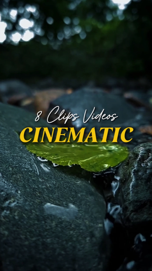CINEMATIC 8 VIDEOS