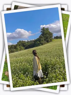 17PicFrame Aesthetic