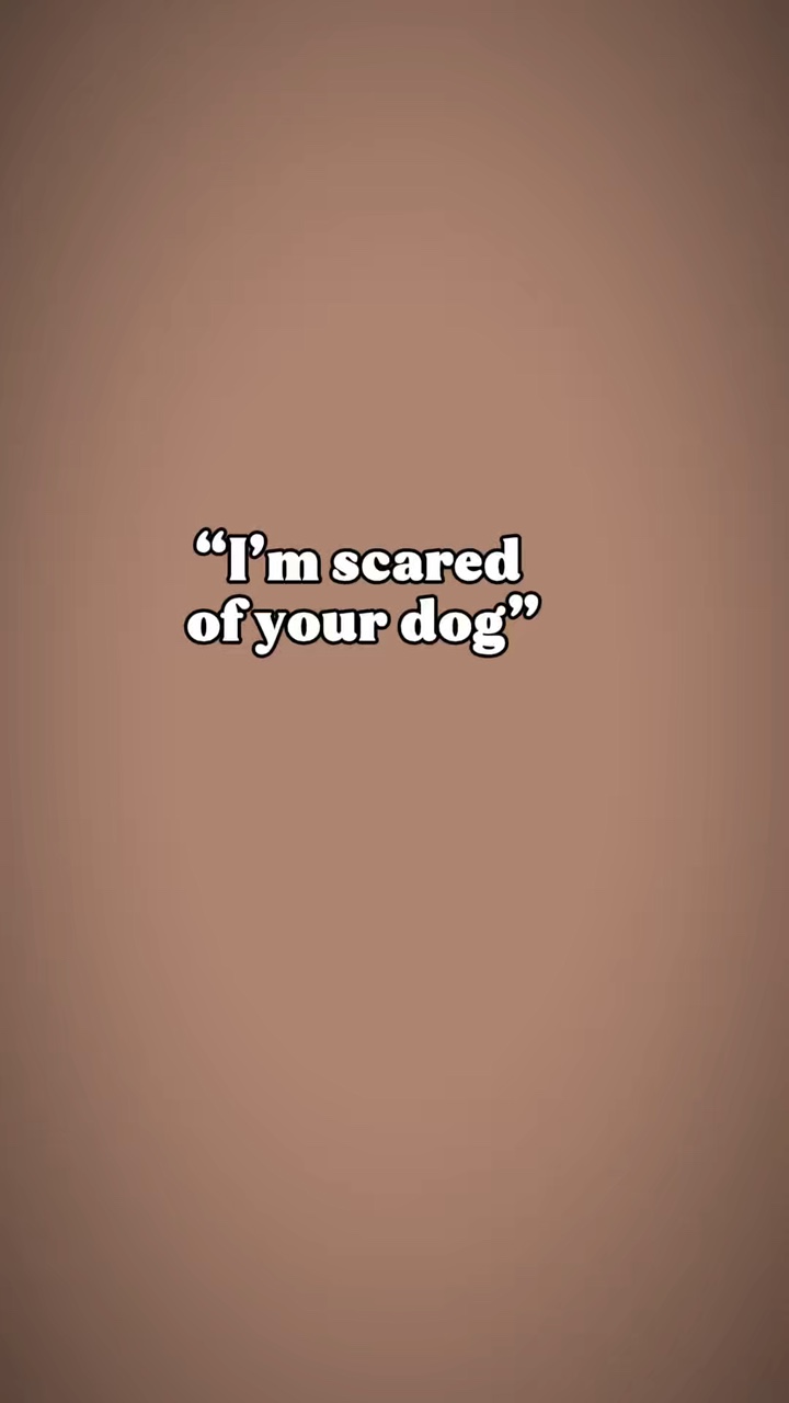 Your dog 