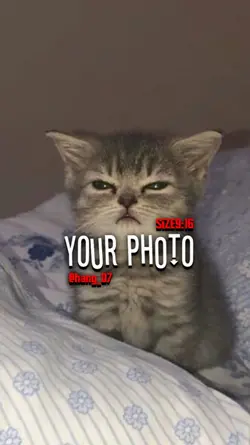 6รูปวนๆ ตามจังหวะ