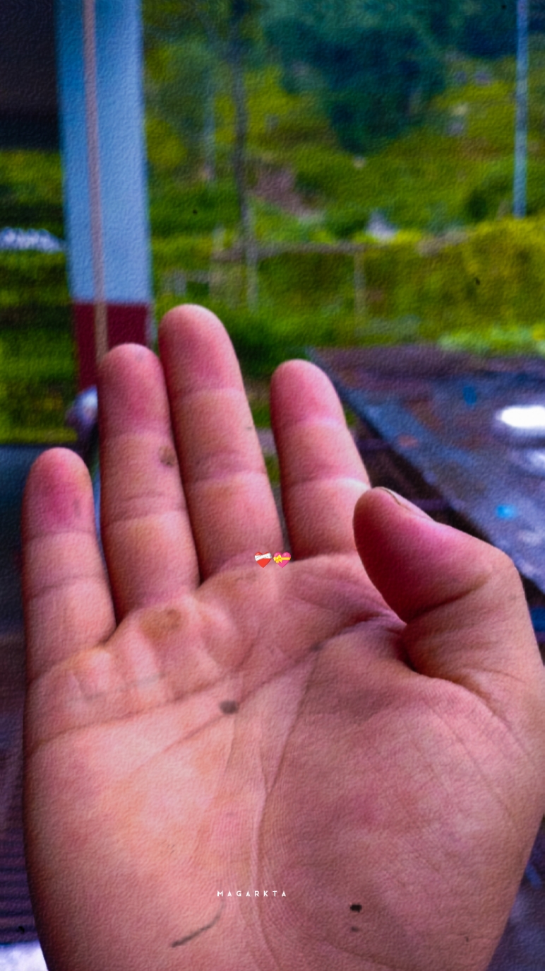 Aakash ma udne chari