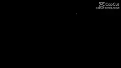 creatorsearchinsight