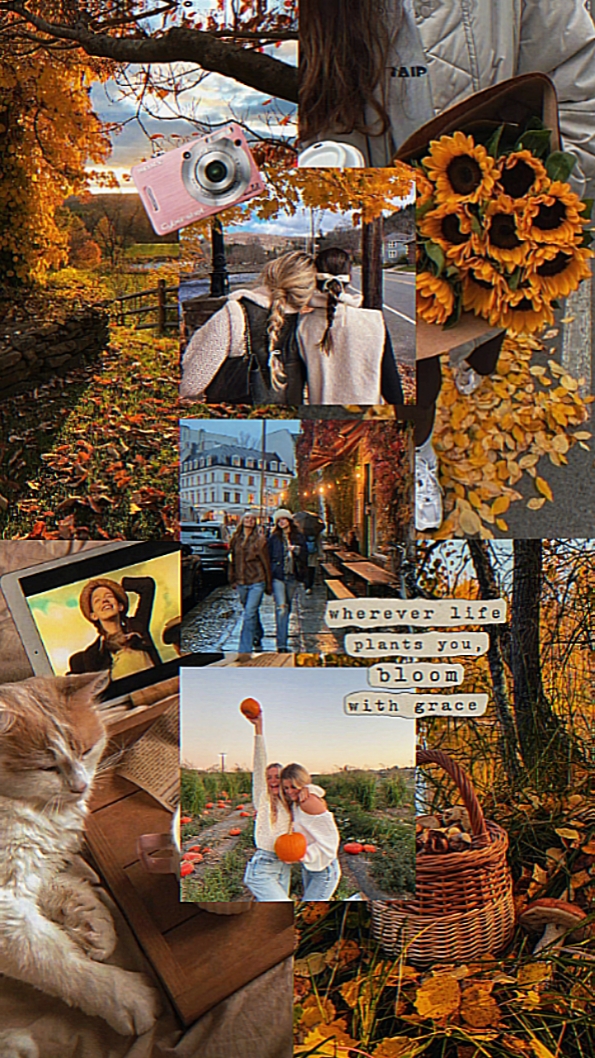 autumn 