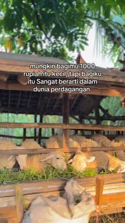 story wa