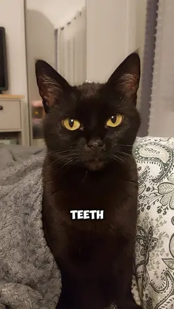 If one tooth..