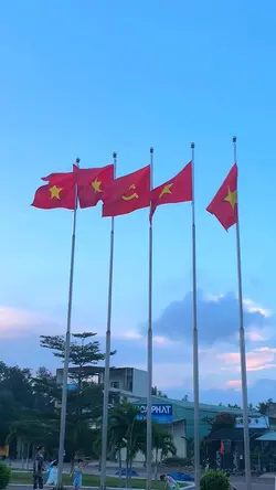 Tự do hoà bình