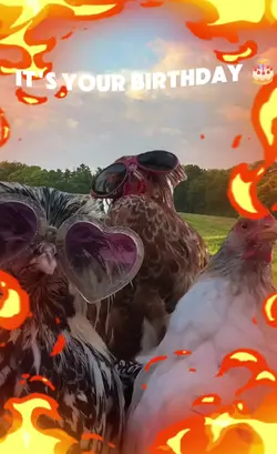 Treand Edit nee Goat