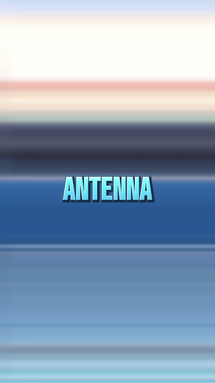 ANTENNA(ﾘｸｴｽﾄ)