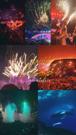 CONCERT DUMP