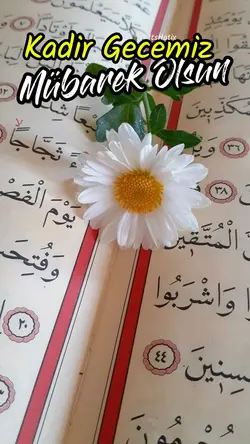 Kadir gecesi