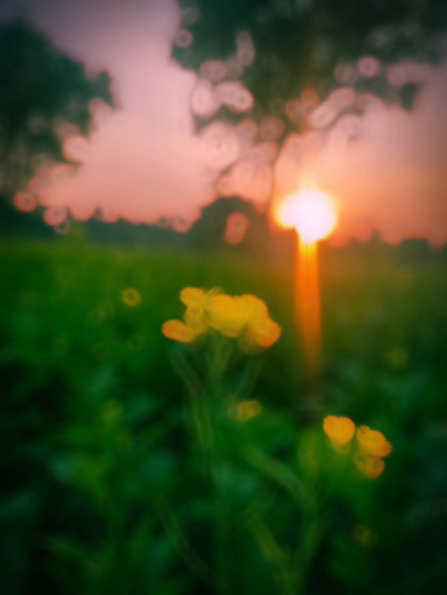 এই দুনিয়াতে যখন 