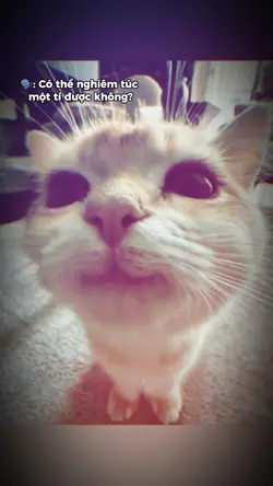 Có thể nghiêm túc