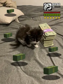 GTA Drop Money 