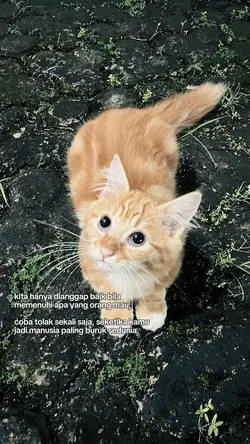 kata-kata