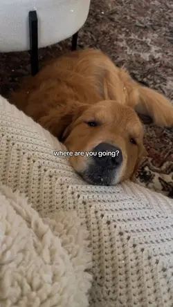 where are you going?