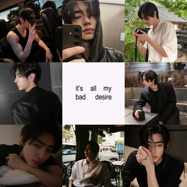 Cover Picture