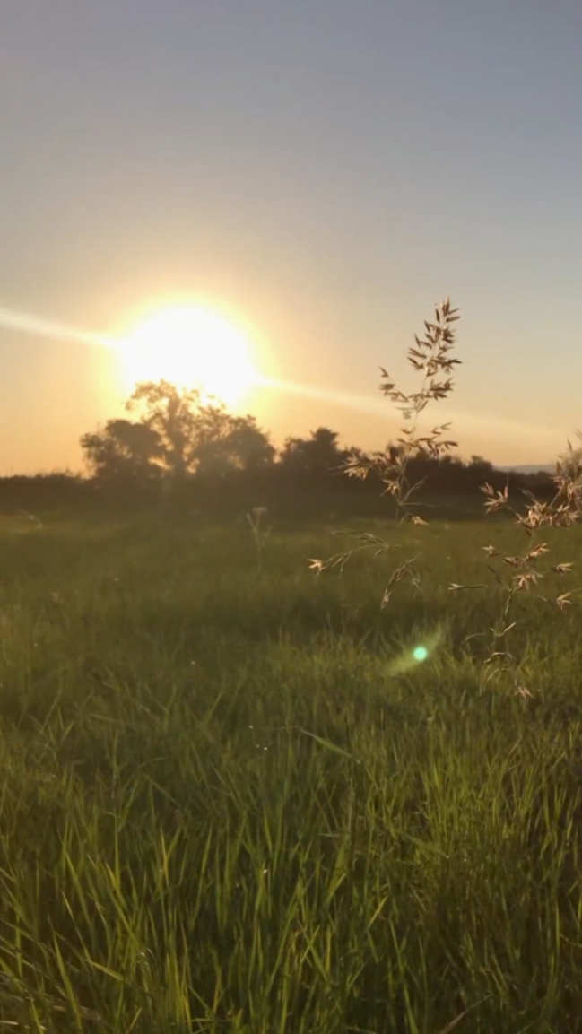 euphoria slowmo