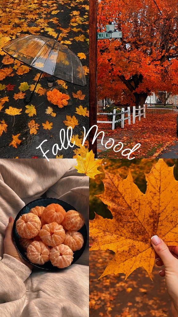 Estado de ánimo de otoño