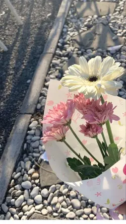 aesthetic