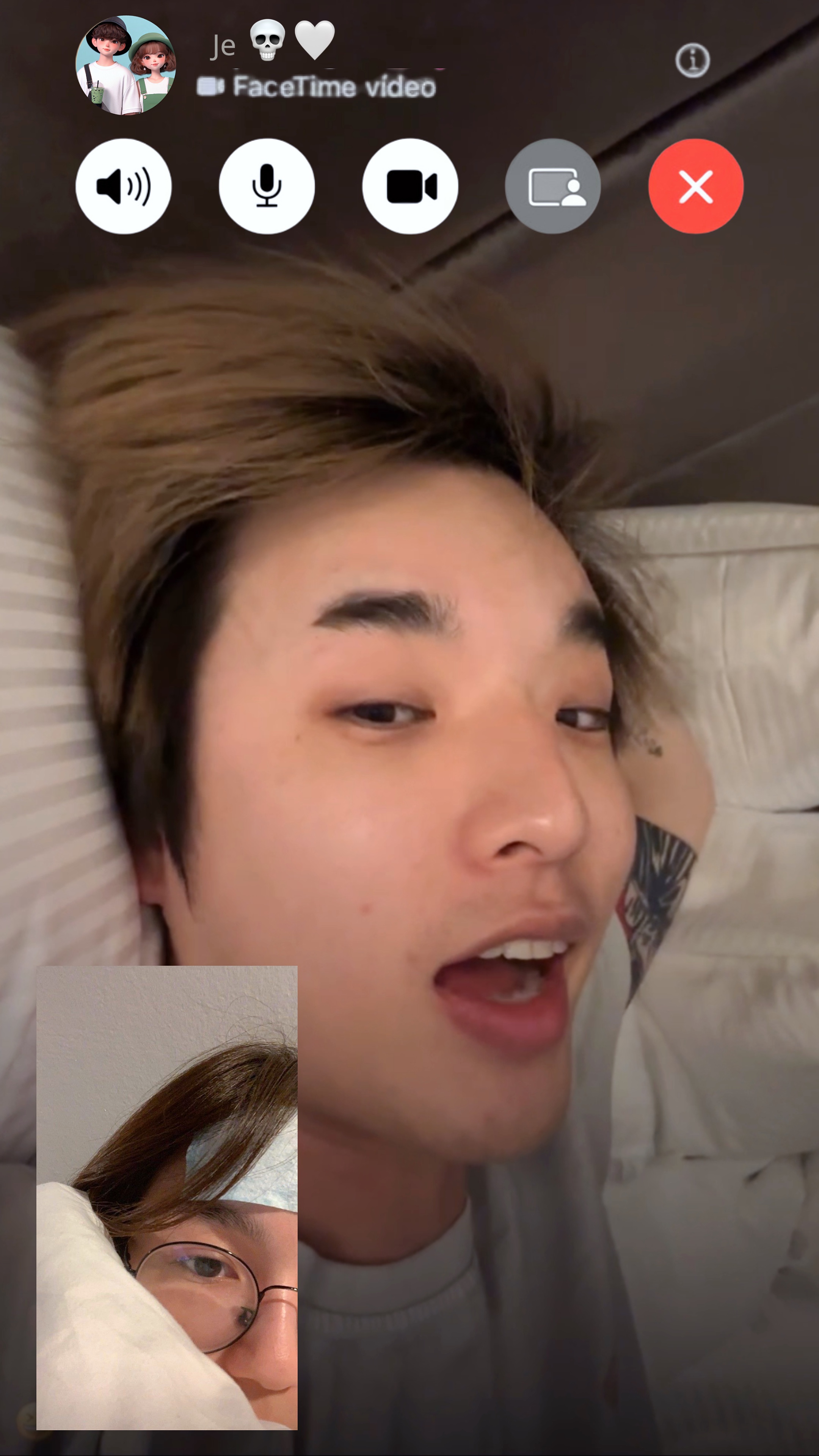 FaceTime ios17 