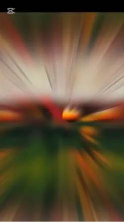 一颗柿子，一整个秋天的安静