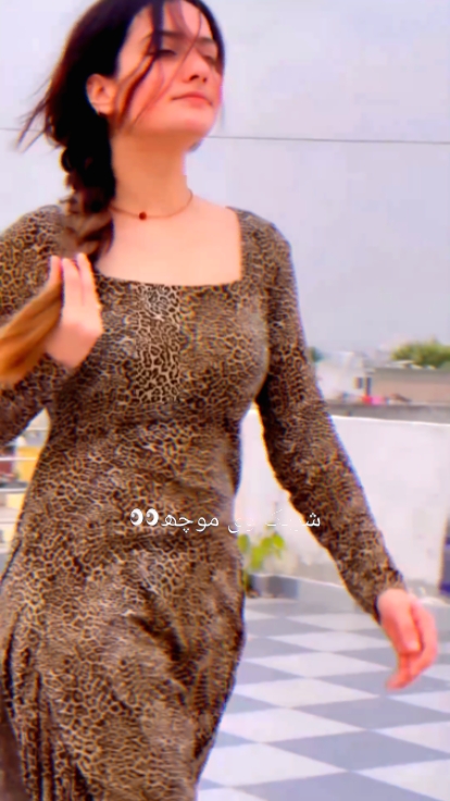 شریکوں تہاڈی 