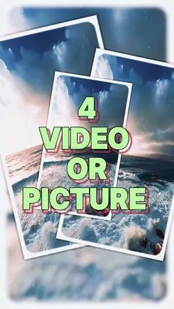 4 video or picture 