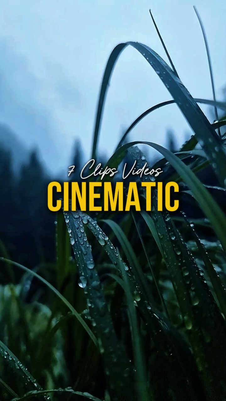Cinematic 7 Videos 