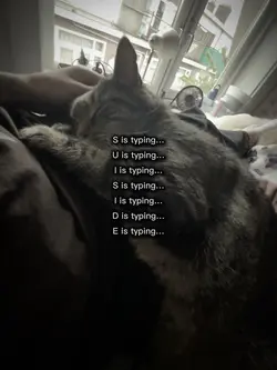 Idk…