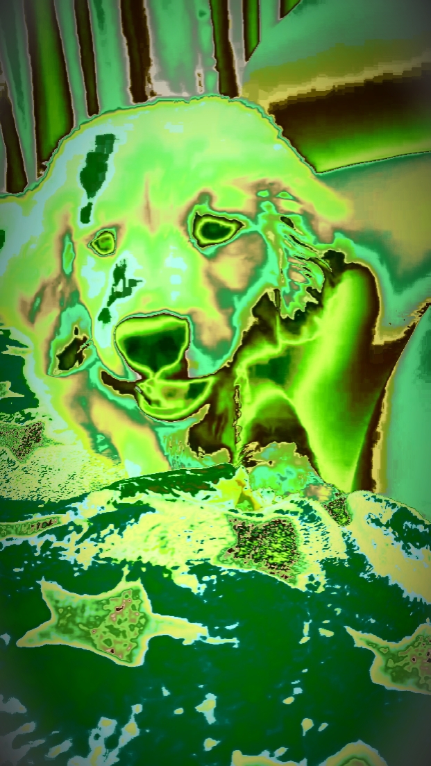 MATCHA TREND NEW 