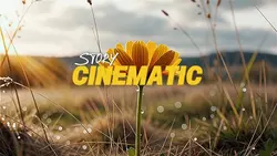 STORY CINEMATIC