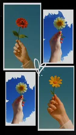 fotos de flores