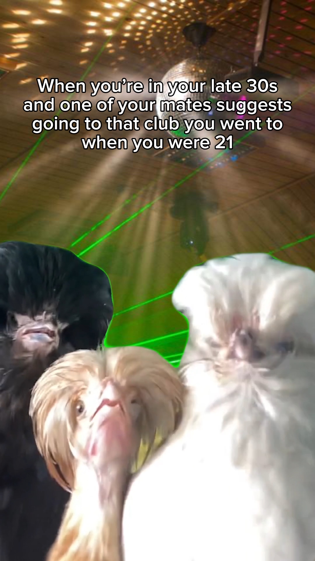 Poulet meme