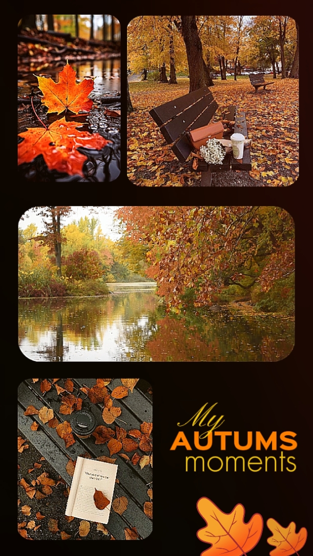 AUTUM MOMENT