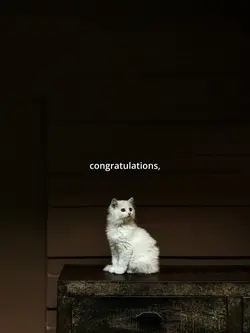 .