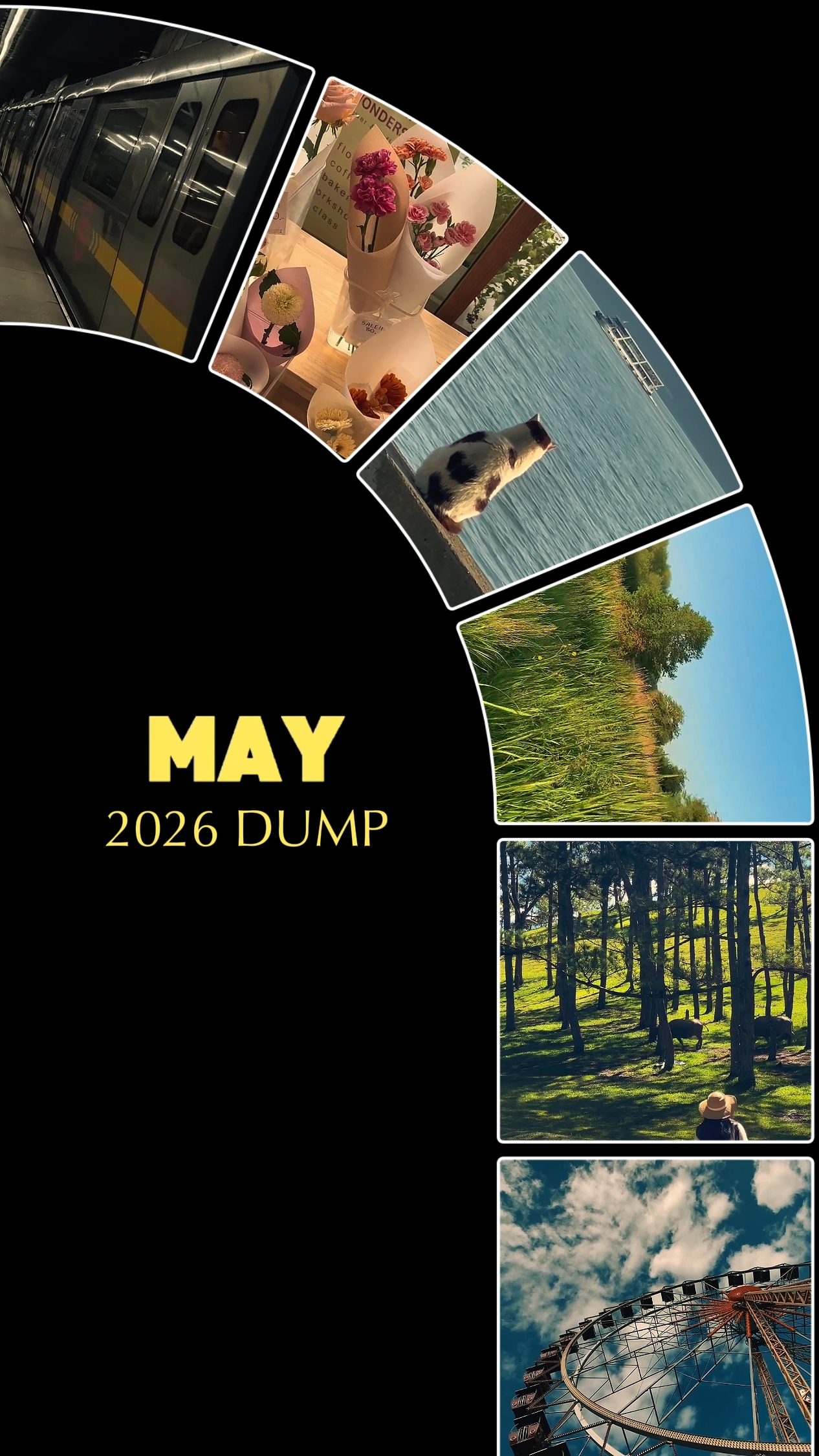 MAY 2026 DUMP