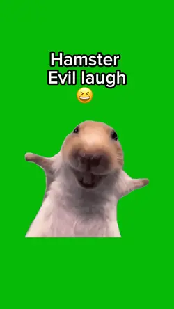 Hamster Evil Laugh 