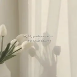 Mad at Disney- 채원 