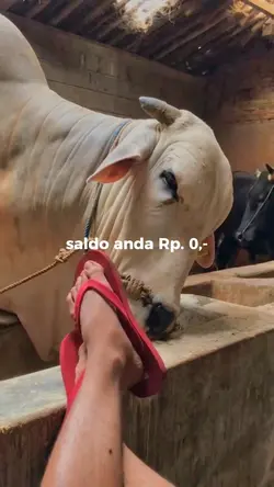 saldo anda Rp. 0