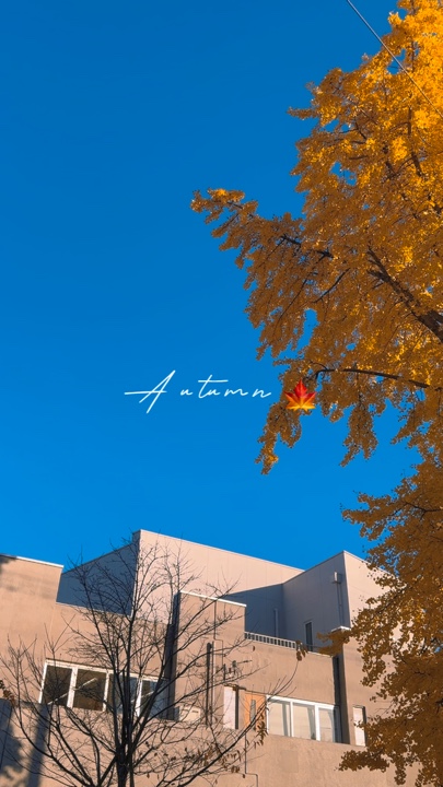 Autumn 2024 🍁