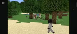 boralo edit 