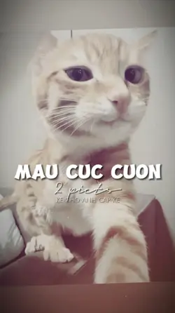 2 ẢNH GIẬT GIẬT CHÁY