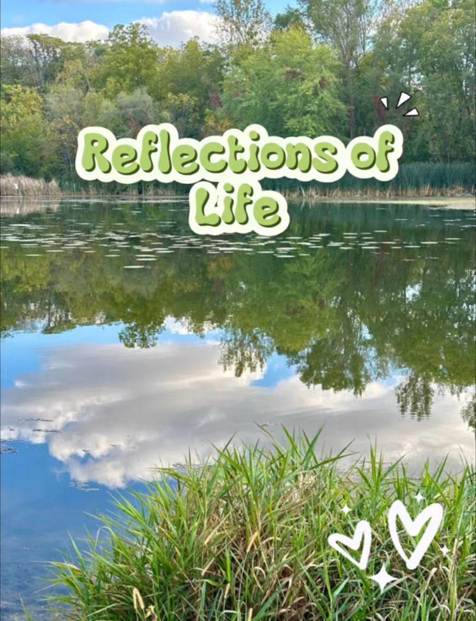 Reflexiones de la Vida