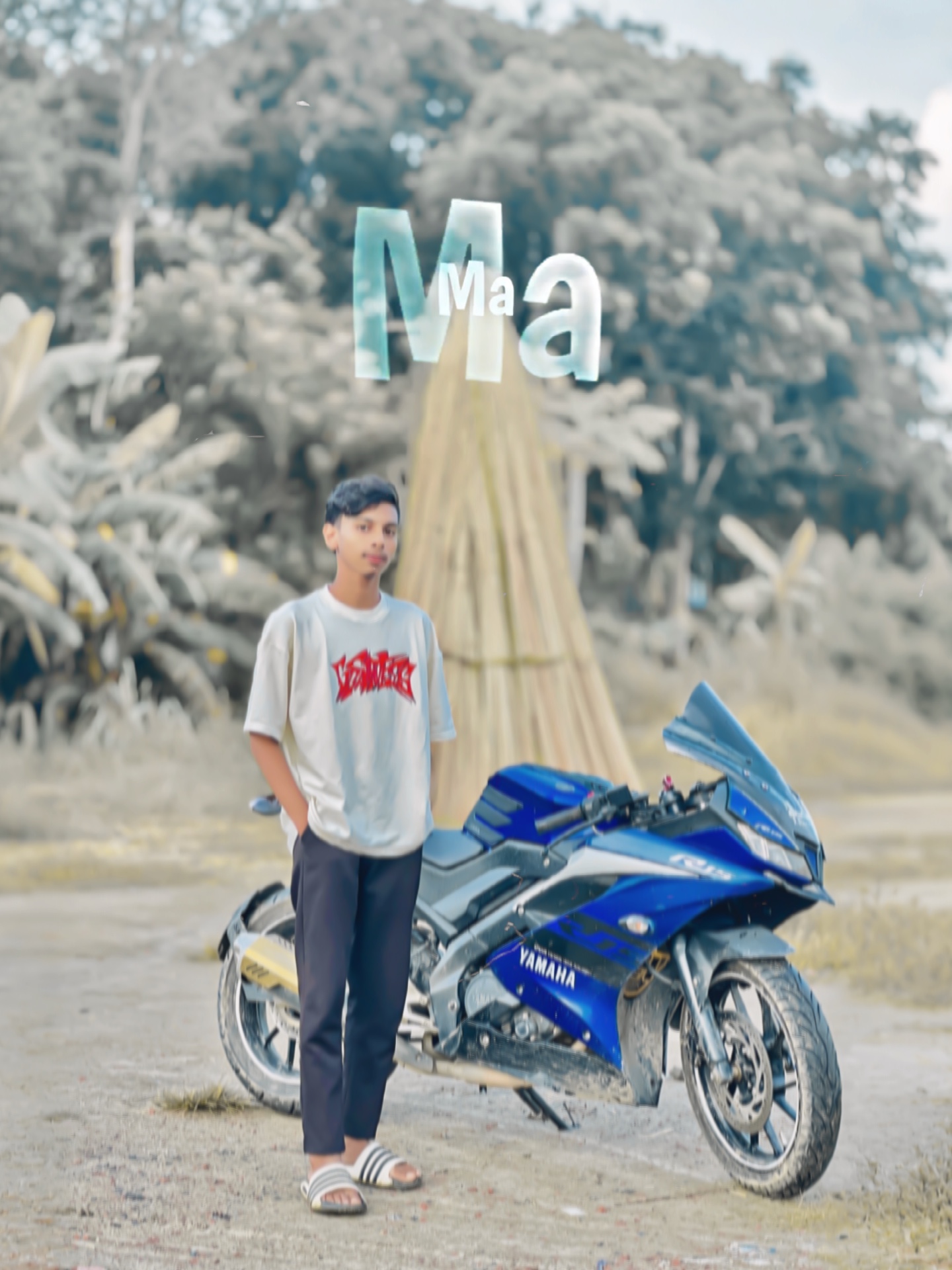 Cover Picture