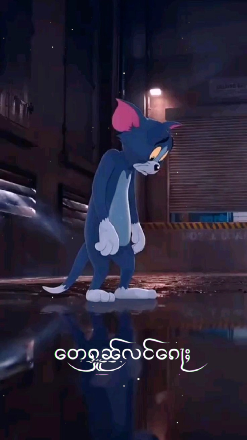 ၵူၼ်းသွင်မေး