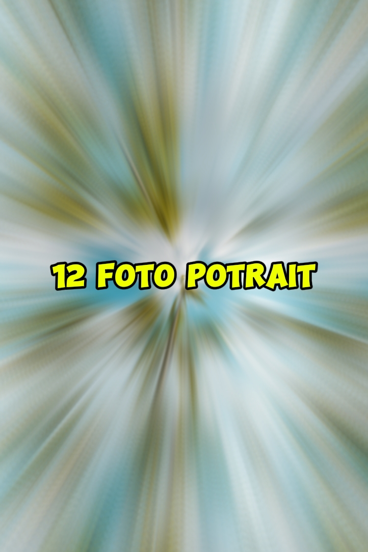 12 foto potre