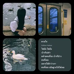 ตามใจ โทนฟิล์ม