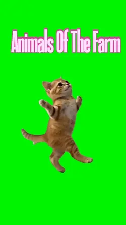 Animals Of The Farm