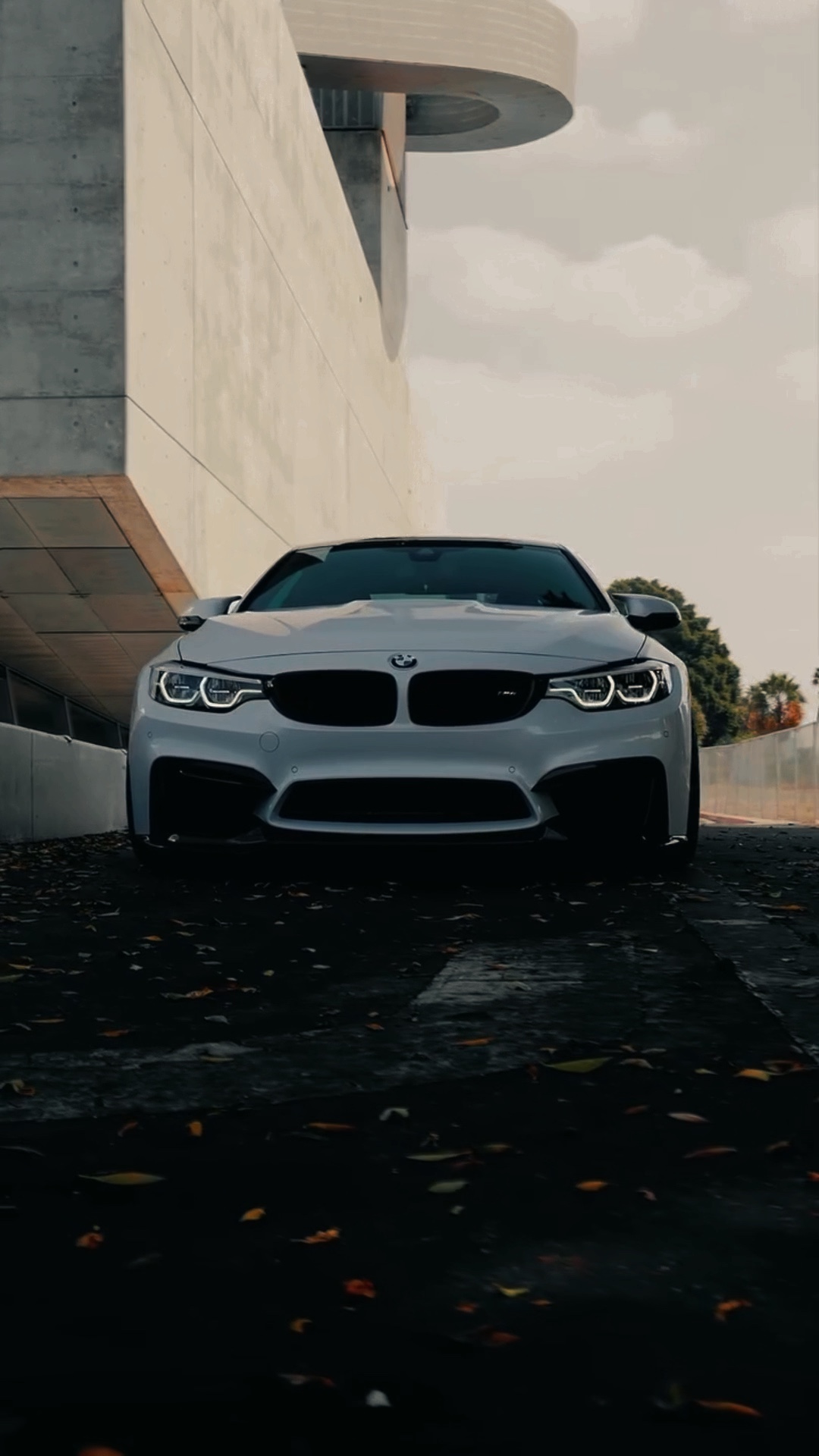 BMW | CARRO💀