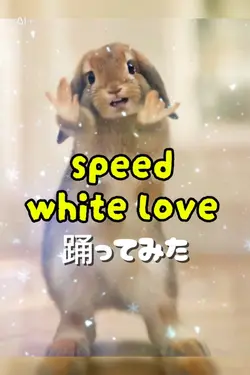 white love踊ってみた